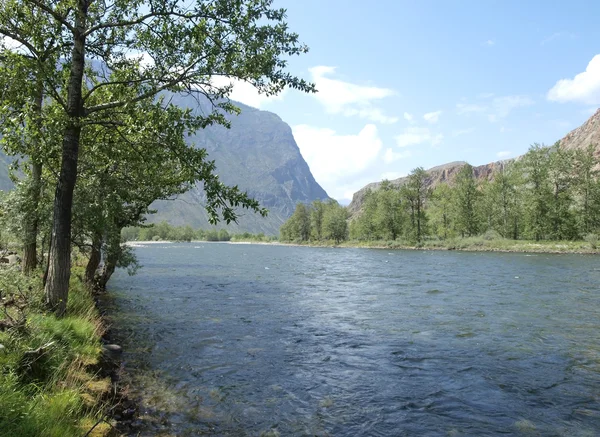 Tchulyshman Nehri — Stok fotoğraf