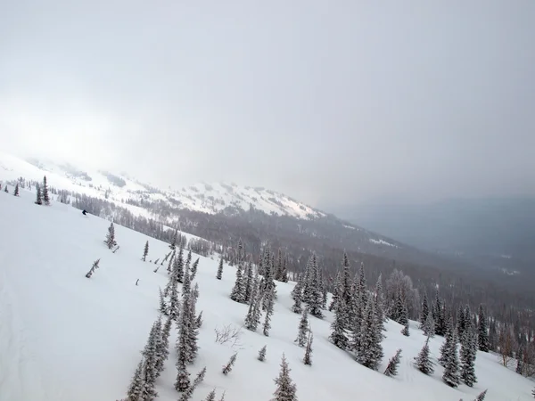 Montagne dans la brume — Photo