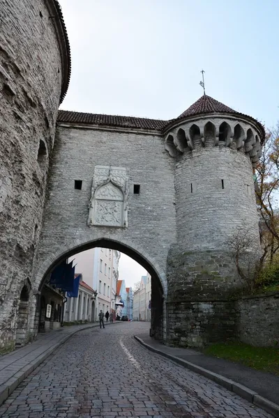 View of Tallinn city — Stock Photo, Image