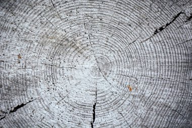 Eski meşe ahşap gravür