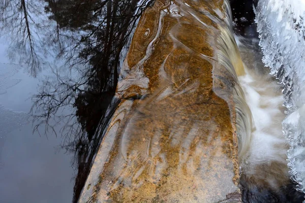 Liten Skogsbäck Skogen Vintern Ryssland Leningradregionen — Stockfoto