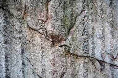 Farklı taşlardan ve betondan yapılmış doku. Resim arkaplan olarak kullanılabilir