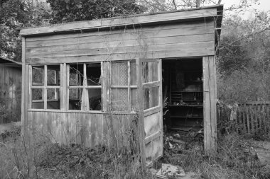 Zelenogorsk, Rusya 'da eski ve terk edilmiş ahşap bir ev. Dachas 'ın dağılması ve insan eksikliği.