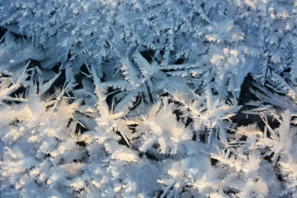 Efecto Hermoso Las Estrellas Nieve Sobre Hielo Patrón Que Forma — Foto de Stock
