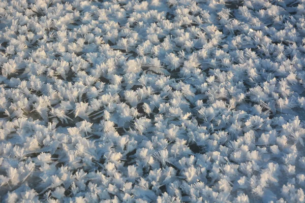 美丽的效果 雪星在冰上 一种只有在严冬霜冻中形成的模式 — 图库照片