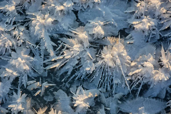 Belo Efeito Estrelas Neve Gelo Padrão Que Forma Apenas Geada — Fotografia de Stock