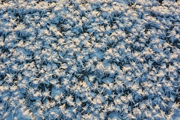 Beautiful Effect Snow Stars Ice Pattern Forms Only Severe Winter — Stock Photo, Image