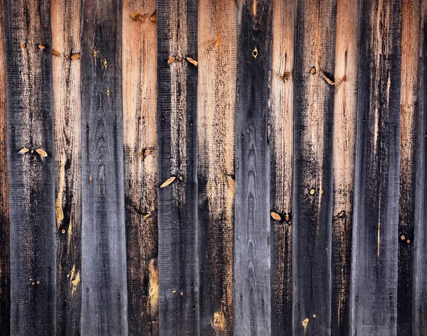 背景为旧木板 古色古香 天然色彩 — 图库照片