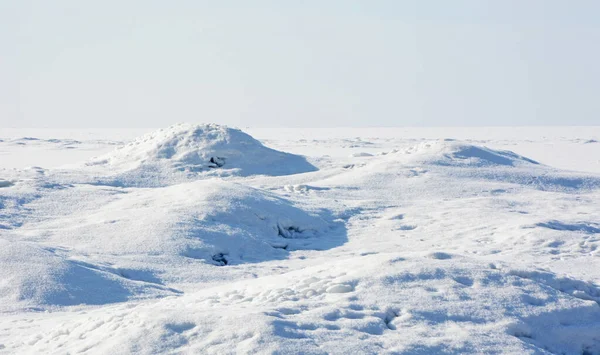 Les Hummocks Glace Sur Côte Golfe Finlande Printemps Hiver Zelenogorsk — Photo