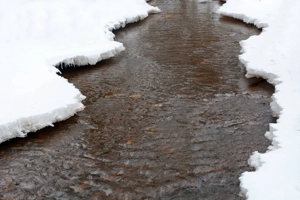 Kışın ormanda küçük bir orman deresi. Rusya, Leningrad bölgesi