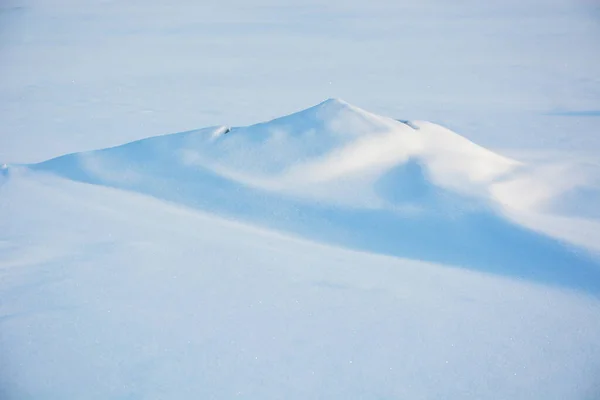 のフィンランド湾沿岸の氷のハンモック ロシアのサンクトペテルブルクのゼレノゴルスク — ストック写真