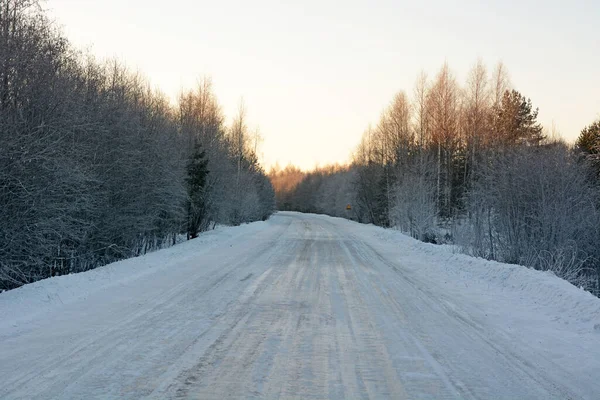 Route Gelée Carélie Forêt Hivernale Majestueuse — Photo