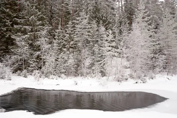 Parel Van Karelië Republiek Kivach Waterval Het Winterseizoen — Stockfoto