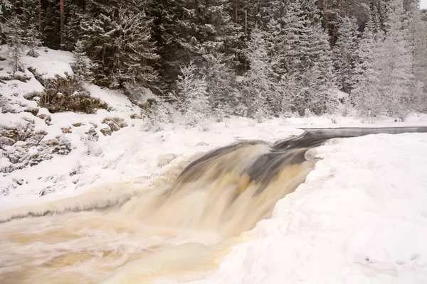 Μαργαριτάρι Της Δημοκρατίας Karelia Kivach Καταρράκτη Κατά Χειμερινή Περίοδο — Φωτογραφία Αρχείου