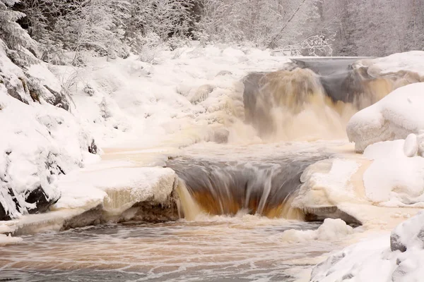 Μαργαριτάρι Της Δημοκρατίας Karelia Kivach Καταρράκτη Κατά Χειμερινή Περίοδο — Φωτογραφία Αρχείου