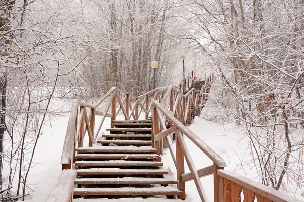 Wooden stairs to the frozen forest near Kivach waterfall, Karelia Republic