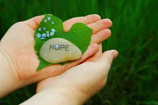 Unutma çiçeklerle umut