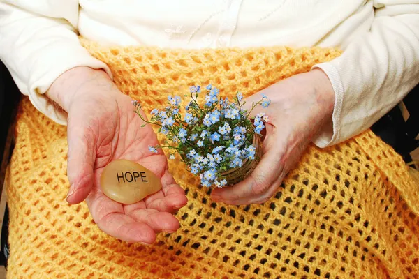 Hope and Forget-Me-Not Flowers — Stock Photo, Image