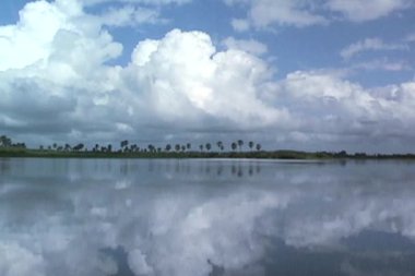 Tanzanya Afrika rufiji Nehri üzerinde tekne