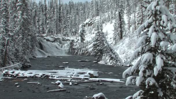 Río Yellowstone en invierno — Vídeo de stock