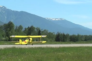 Tiger moth, 1938, uçak
