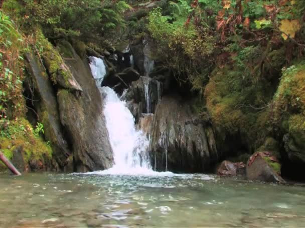 Cascada corta — Vídeos de Stock