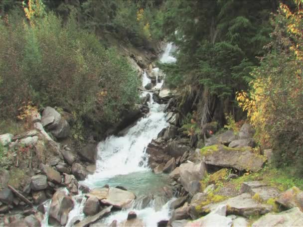 Cachoeira longa — Vídeo de Stock