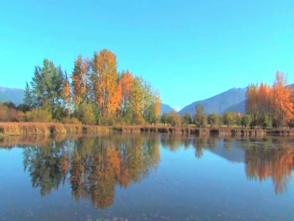 Herbstfarben spiegeln sich auf einem ruhigen See — Stockvideo