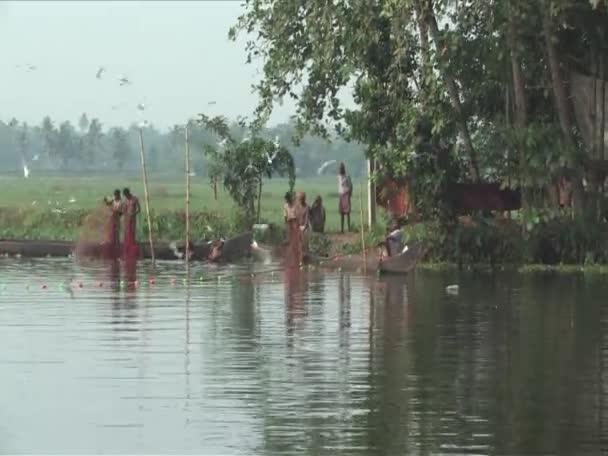 Rybář na stojatých vodách alleppey Indie — Stock video