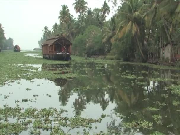 Hausbootfahrt durch Backwaters Mase von Wasserwegen in Alleppey, Indien — Stockvideo