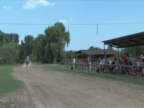 Gauchos argentinos poniendo en concurso de habilidades — Vídeo de stock