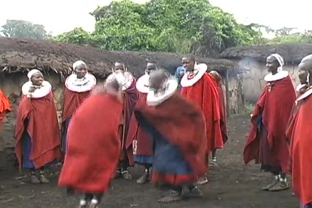 马赛部落战士舞蹈 — 图库视频影像