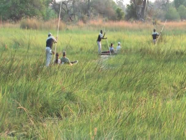 Mokoro-Einbaum von Pfahl-Okavango-Delta geschoben — Stockvideo