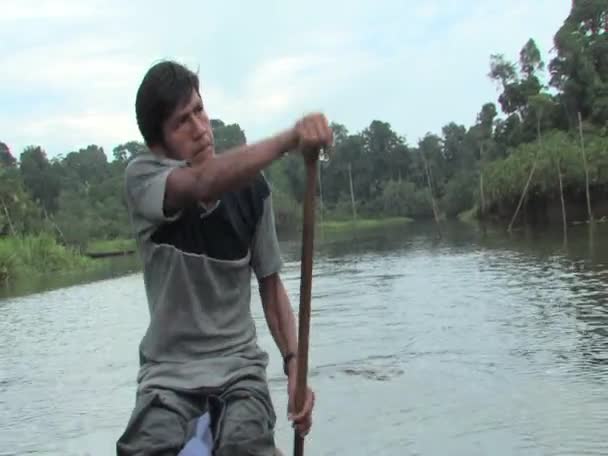 Amazonas-Mann paddelt Einbaum — Stockvideo