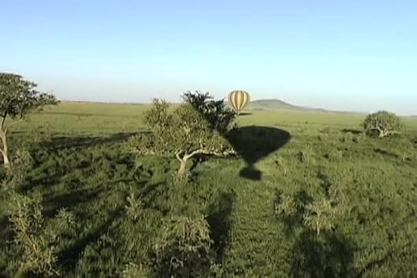 Globo de aire caliente a la deriva sobre las llanuras del Serengeti en África — Vídeo de stock