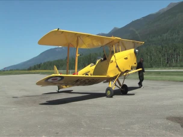 Tiger moth, 1938, samolot — Wideo stockowe