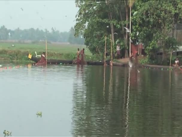 Rybář na stojatých vodách alleppey Indie — Stock video