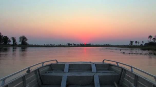 Atardecer del delta de Okavango — Vídeo de stock