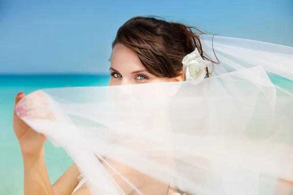 Noiva na praia com véu branco — Fotografia de Stock