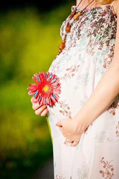 Mujer embarazada sosteniendo su vientre y flor — Foto de Stock