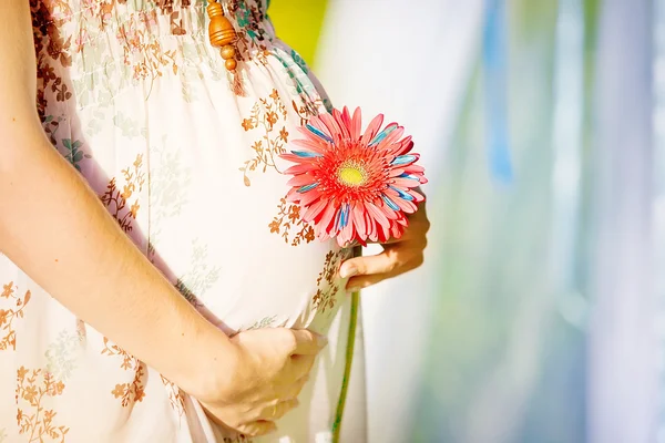 Schwangere hält ihren Bauch und ihre Blume — Stockfoto