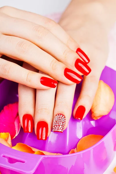 Close-up de mãos de uma mulher com longa manicure vermelha — Fotografia de Stock