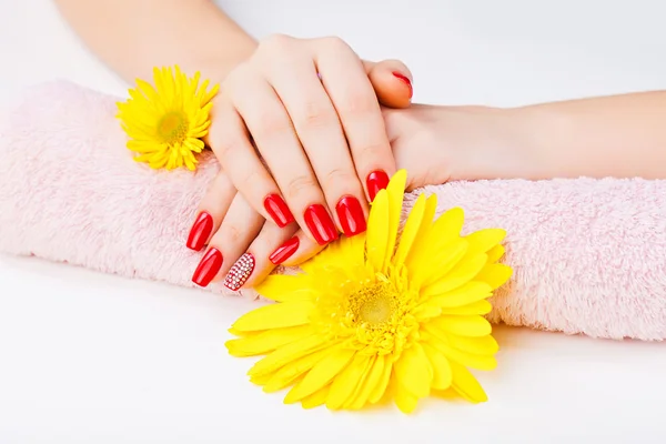 Gros plan des mains d'une femme avec une longue manucure rouge — Photo