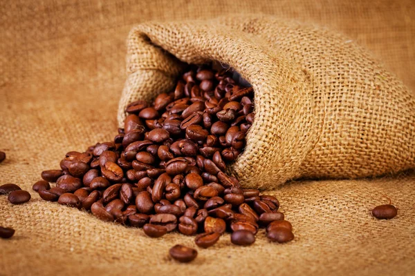 Saco cheio de grãos de café torrados — Fotografia de Stock