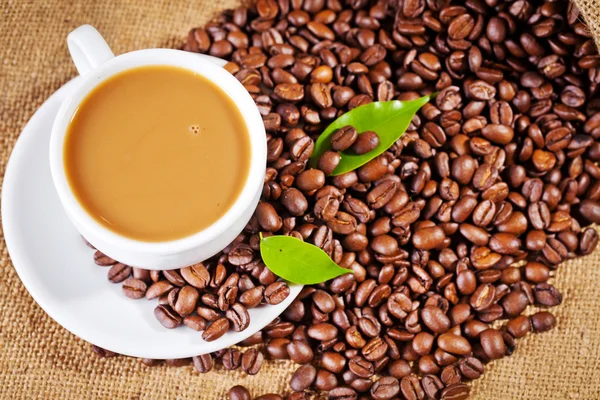 Κύπελλο και arabica κόκκους καφέ στο πανί σάκο — Φωτογραφία Αρχείου