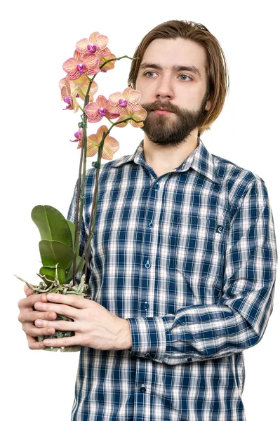 O jovem, segura uma flor de orquídea na mão — Fotografia de Stock