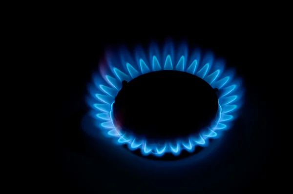 Gas burns on the stove — Stock Photo, Image