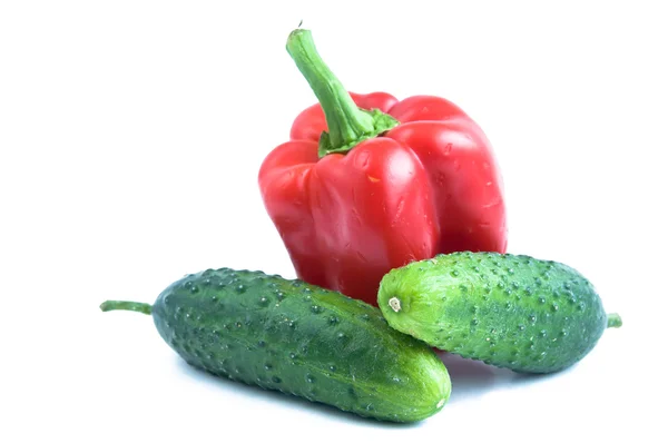 Cucumber and sweet pepper — Stock Photo, Image