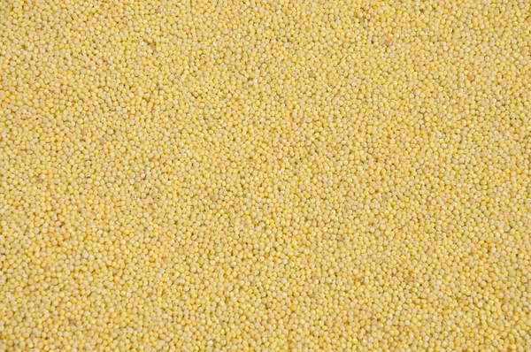 Пшеничные крупы — стоковое фото