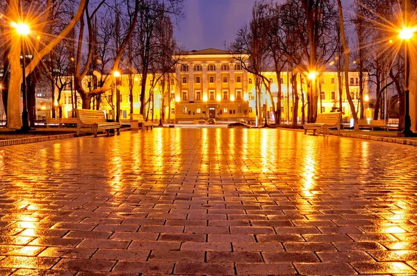 Nachtpark — Stockfoto